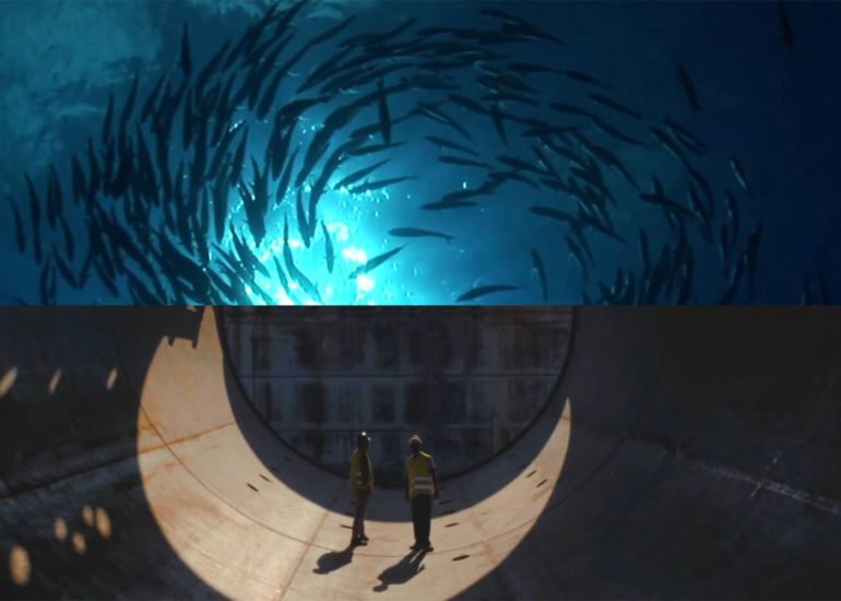 Hera corporate video